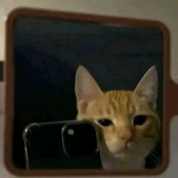 Meet your Posher, Anneliese - Picture 1 of 1